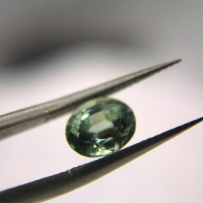 1.55 Ct Unheated Montana Sapphire | Hand Mined & Faceted | Natural Teal Blue Green Sapphire | Oval Cut Loose Gemstone