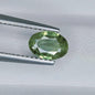 IGI Certified Green Sapphire 0.90 Ct | Natural Green Sapphire | Oval Cut Loose Sapphire | Heated Sapphire | September Birthstone