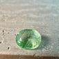 0.95 Ct Certified Oval Paraiba Tourmaline | Natural Yellowish Green Elbaite | Certified Gem